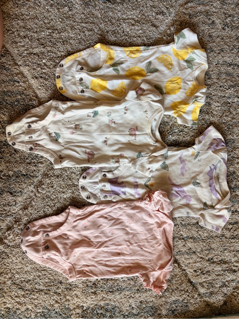 Baby Girl Onesie and Sleeper Bundle
